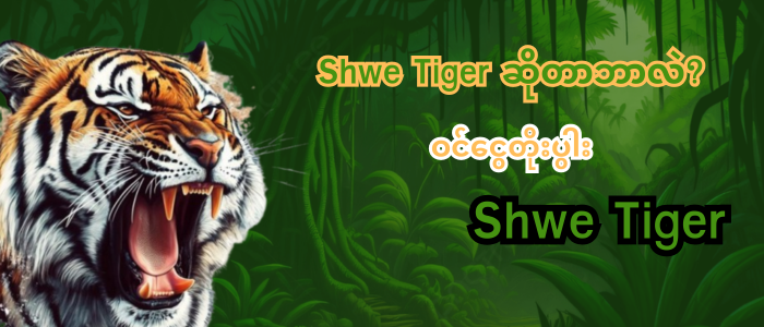 shwe tiger