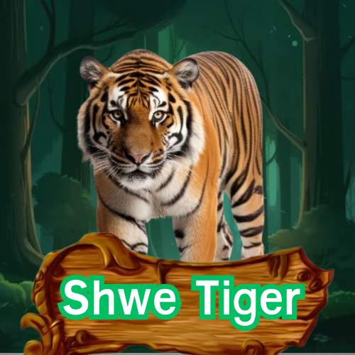 shwe tiger