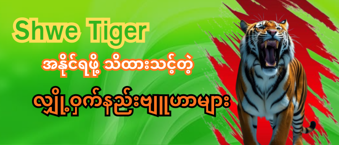 shwe tiger