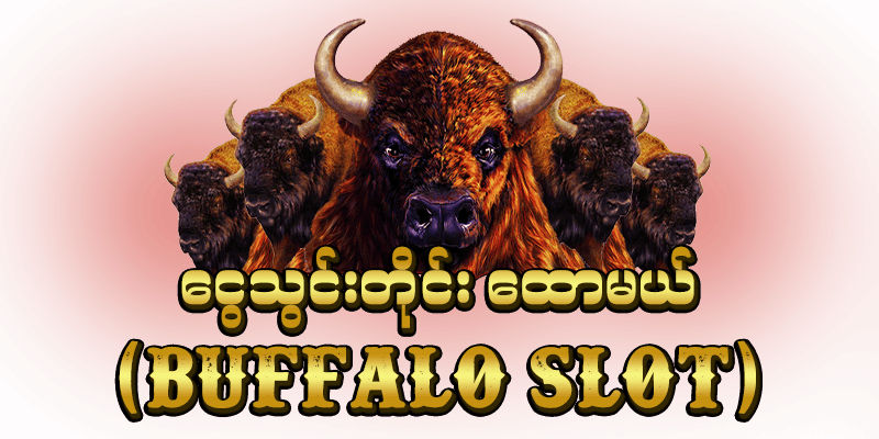 shwe666 buffalo slot