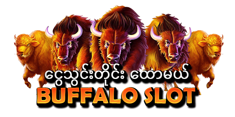 buffalo slot